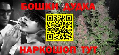молекула духа Кинель